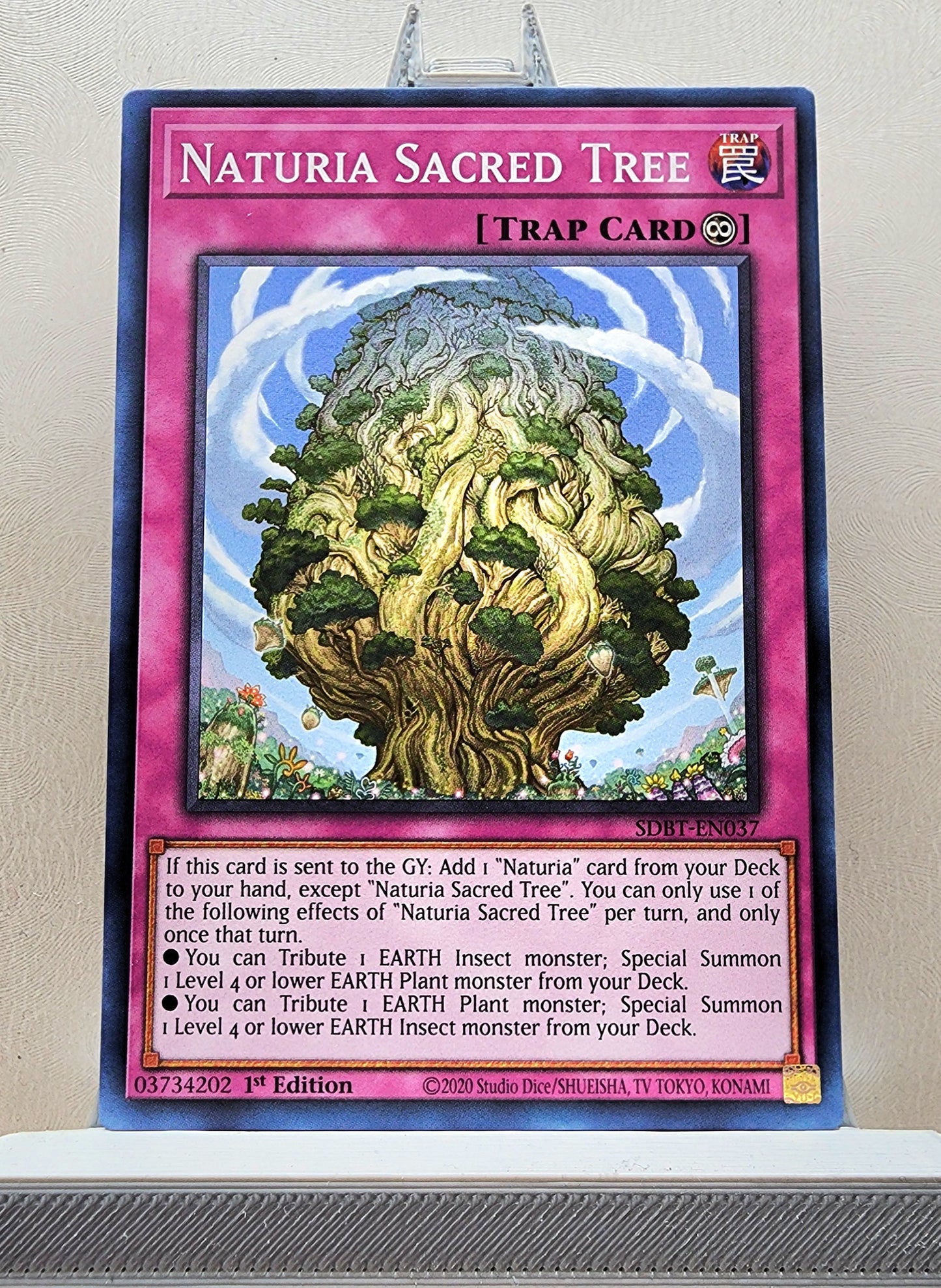 Yugioh! Structure Deck: Beware of Traptrix Singles (SDBT - Common) 1st Edition