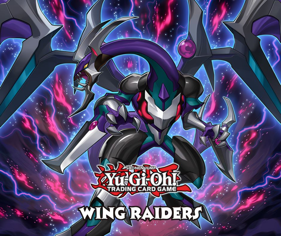 (2016) Wing Raiders (WIRA)
