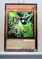 Yugioh! 1x PSY-Framegear Gamma (RA05 - Prismatic Ultimate Rare) 1st Edition