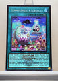 Yugioh! 1x Yummyusment★Acroquey (26LP - Emblazoned Secret Rare) Limited Edition
