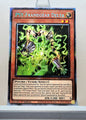 Yugioh! 1x PSY-Framegear Delta (RA05 - Starlight Rare) 1st Edition