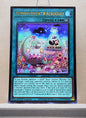 Yugioh! 1x Yummyusment★Acroquey (26LP - Ultra Rare) Limited Edition