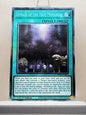 Yugioh! 1x Domain of the True Monarchs (MP25 - Starlight Rare) 1st Edition