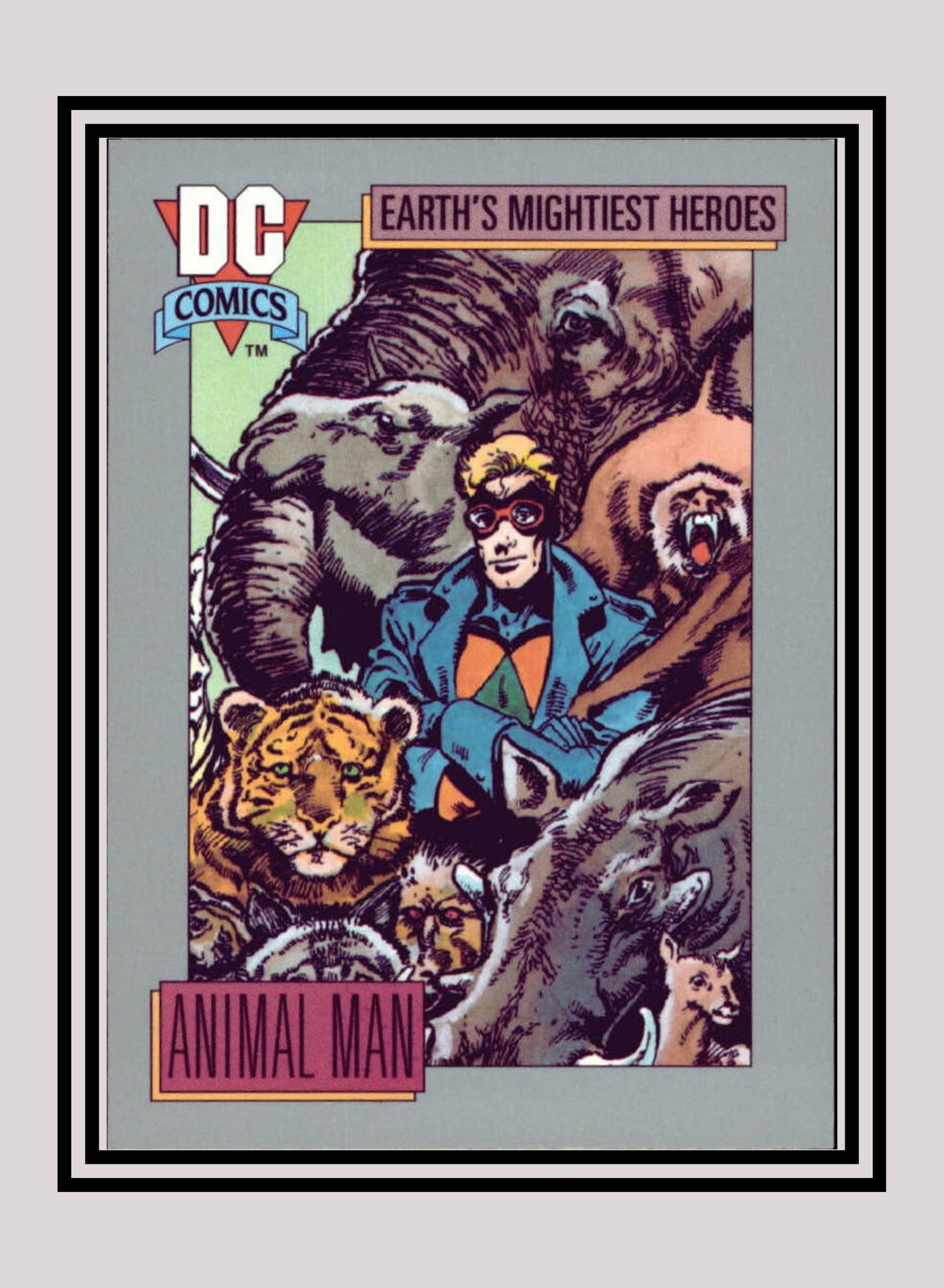 DC! 1x Animal Man - Base (#031 - 1991 Impel DC Cosmic Cards)