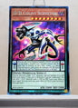 Yugioh! 1x D/D Count Surveyor (RA05 - Prismatic Collectors Rare) 1st Edition