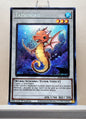 Yugioh! 1x Tatsunoko (RA05 - Secret Rare) 1st Edition
