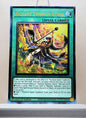 Yugioh! 1x Radiant Typhoon Vision (RA05 - Prismatic Ultimate Rare) 1st Edition
