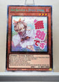 Yugioh! 1x Ash Blossom & Joyous Spring Stamp Artwork (RA05 - Starlight Rare) 1st Edition