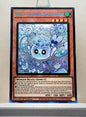 Yugioh! 1x Mulcharmy Fuwalos (MP25 - Prismatic Secret Rare) 1st Edition