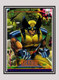 Marvel! 1x Wolverine - Base (#116 - 1993 Skybox Marvel Universe Series 4)