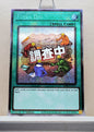 Yugioh! 1x Fossil Dig Stamp Artwork (RA05 - Starlight Rare) 1st Edition