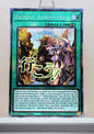 Yugioh! 1x Fateful Adventure Stamp Artwork (RA05 - Starlight Rare) 1st Edition