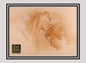 LOTR! 1x A Kiss for Frodo - Base (#11 - 2008 Lord of the Rings: Masterpieces II)