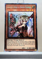 Yugioh! 1x Ghost Ogre & Snow Rabbit Stamp Artwork (RA05 - Starlight Rare) 1st Edition