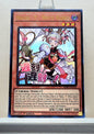Yugioh! 1x Maliss <P> White Rabbit Stamp Artwork (RA05 - Ultra Rare) 1st Edition