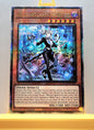 Yugioh! 1x Arias the Labrynth Butler (AGOV - Quarter Century Secret Rare) 1st Edition