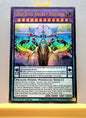 Yugioh! 1x Odd-Eyes Arcray Dragon (AGOV - Ultra Rare) 1st Edition