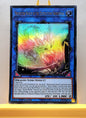 Yugioh! 1x Protector Whelp of the Destruction Swordsman (DUOV - Ultra Rare) 1st Edition