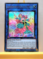 Yugioh! 1x Bloom Harmonist the Melodious Composer (DUOV - Ultra Rare) 1st Edition