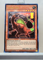 Yugioh! Maximum Gold: El Dorado Singles (MGED - Rare) 1st Edition