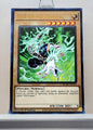 Yugioh! Maximum Gold: El Dorado Singles (MGED - Rare) 1st Edition