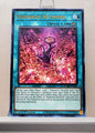 Yugioh! Maximum Gold: El Dorado Singles (MGED - Rare) 1st Edition