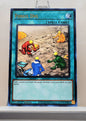 Yugioh! Maximum Gold: El Dorado Singles (MGED - Rare) 1st Edition