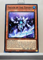 Yugioh! Age of Overlord Singles (AGOV - Common) 1st Edition