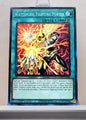 Yugioh! Age of Overlord Singles (AGOV - Common) 1st Edition