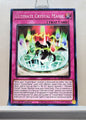 Yugioh! Structure Deck: Crystal Beasts Singles (SDCB - Common) 1st Edition