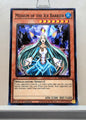 Yugioh! Structure Deck: Freezing Chains Singles (SDFC - Common) 1st Edition