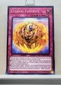 Yugioh! Phantom Nightmare Singles (PHNI - Common) 1st Edition