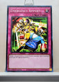 Yugioh! Phantom Nightmare Singles (PHNI - Common) 1st Edition