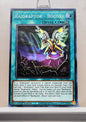 Yugioh! Phantom Nightmare Singles (PHNI - Common) 1st Edition