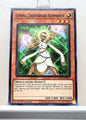 Yugioh! Battles of Legend: Chapter 1 Singles - Set 1 (BLC1 - Common) 1st Edition