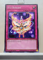 Yugioh! 2-Player Starter Set - XYZ Deck Singles (STAX- Common) 1st Edition