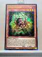 Yugioh! 1x Baby Spider (BLMR - Ultra Rare) 1st Edition