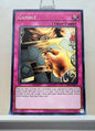 Yugioh! Pharaoh's Servant 25th Anniversary Singles (PSV - Common) Unli Edition