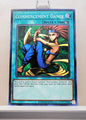 Yugioh! Spell Ruler 25th Anniversary Singles (SRL - Common) Unli Edition