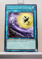 Yugioh! Spell Ruler 25th Anniversary Singles (SRL - Common) Unli Edition