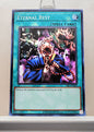 Yugioh! Spell Ruler 25th Anniversary Singles (SRL - Common) Unli Edition