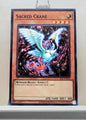 Yugioh! Invasion of Chaos 25th Anniversary Singles (IOC - Common) Unli Edition