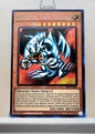 Yugioh! 1x Blue Eyes Toon Dragon 25th Anniversary (SRL - Secret Rare) Unli Edition