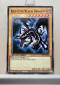 Yugioh! 1x Red-Eyes Black Dragon (SBC1 - Common) 1st Edition