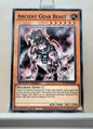 Yugioh! Speed Duel GX: Duel Academy Box Singles - Set C/D (SGX1 - Common) 1st Edition