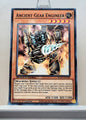 Yugioh! Speed Duel GX: Duel Academy Box Singles - Set C/D (SGX1 - Common) 1st Edition