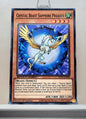 Yugioh! Speed Duel GX: Duel Academy Box Singles - Set E/F (SGX1 - Common) 1st Edition