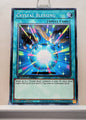 Yugioh! Speed Duel GX: Duel Academy Box Singles - Set E/F (SGX1 - Common) 1st Edition