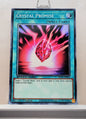 Yugioh! Speed Duel GX: Duel Academy Box Singles - Set E/F (SGX1 - Common) 1st Edition