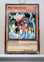 Yugioh! Speed Duel GX: Duelists of Shadows Singles - Set E/F (SGX3 - Common) 1st Edition